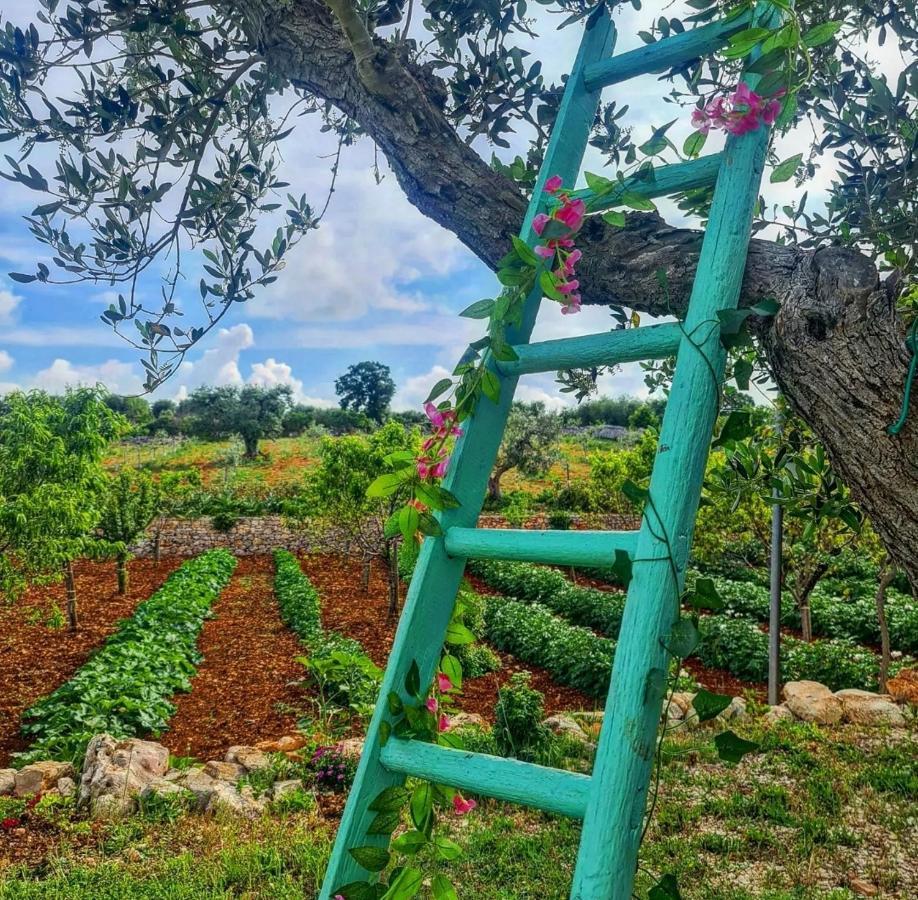 Trulli Pax Animi Villa Martina Franca Luaran gambar